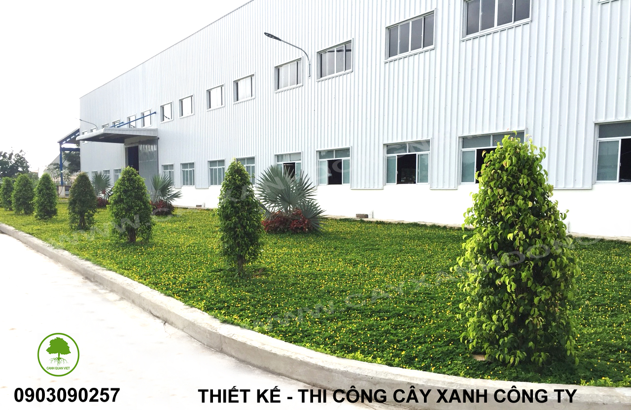 Thi công trồng cây xanh tại nhà máy công nghệ năng lượng Hitachi Chemical Việt Nam
